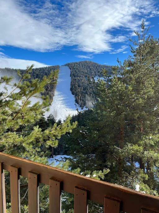 Charmant 2 P Proche Activite Saint-Martin-Vésubie المظهر الخارجي الصورة